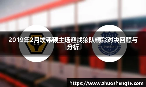 2019年2月埃弗顿主场迎战狼队精彩对决回顾与分析