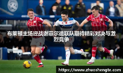 布莱顿主场迎战谢菲尔德联队期待精彩对决与激烈竞争